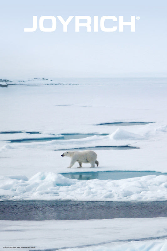 30X20 POLAR POSTER – POLAR BEAR
